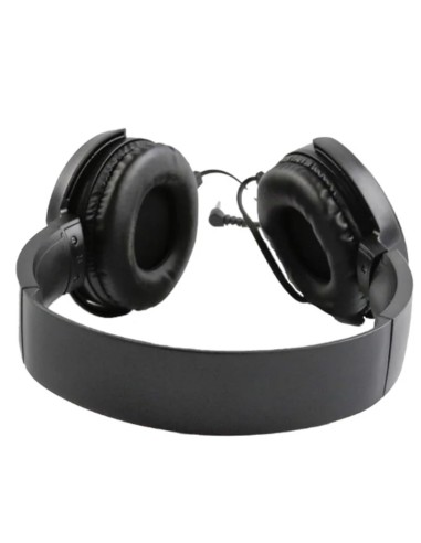 AURI + MIC TYPE C PLATINET     DIADEMA 1.5M...