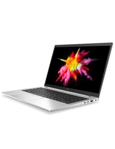 246401 NPR    14" HP           R5 PRO 4650U...